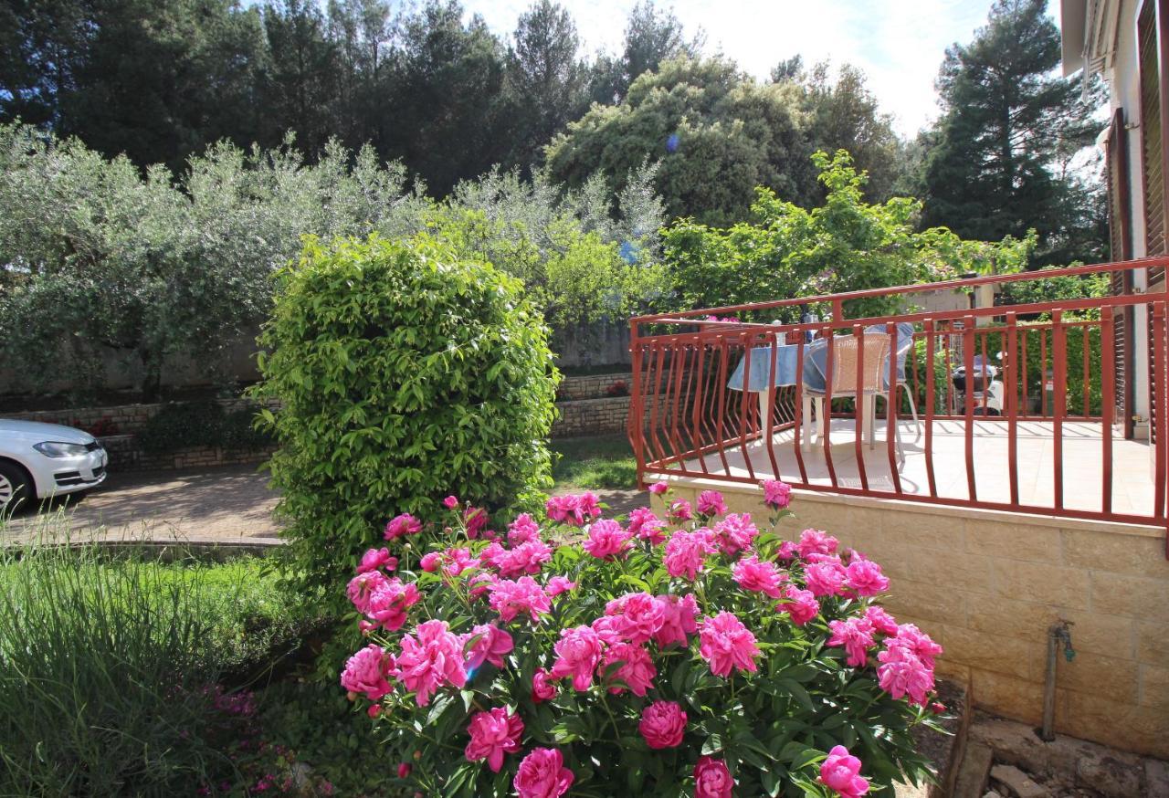Apartment Ema Near City Center Poreč Zewnętrze zdjęcie